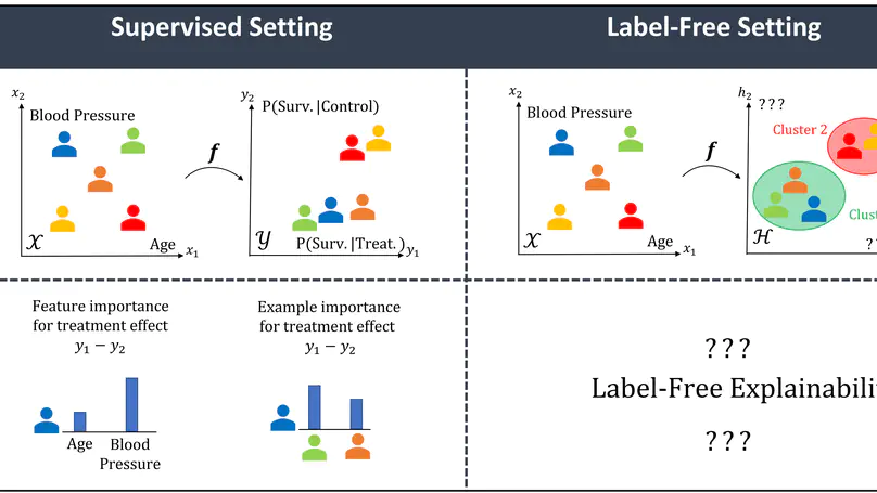 Label-Free Explainability for Unsupervised Models